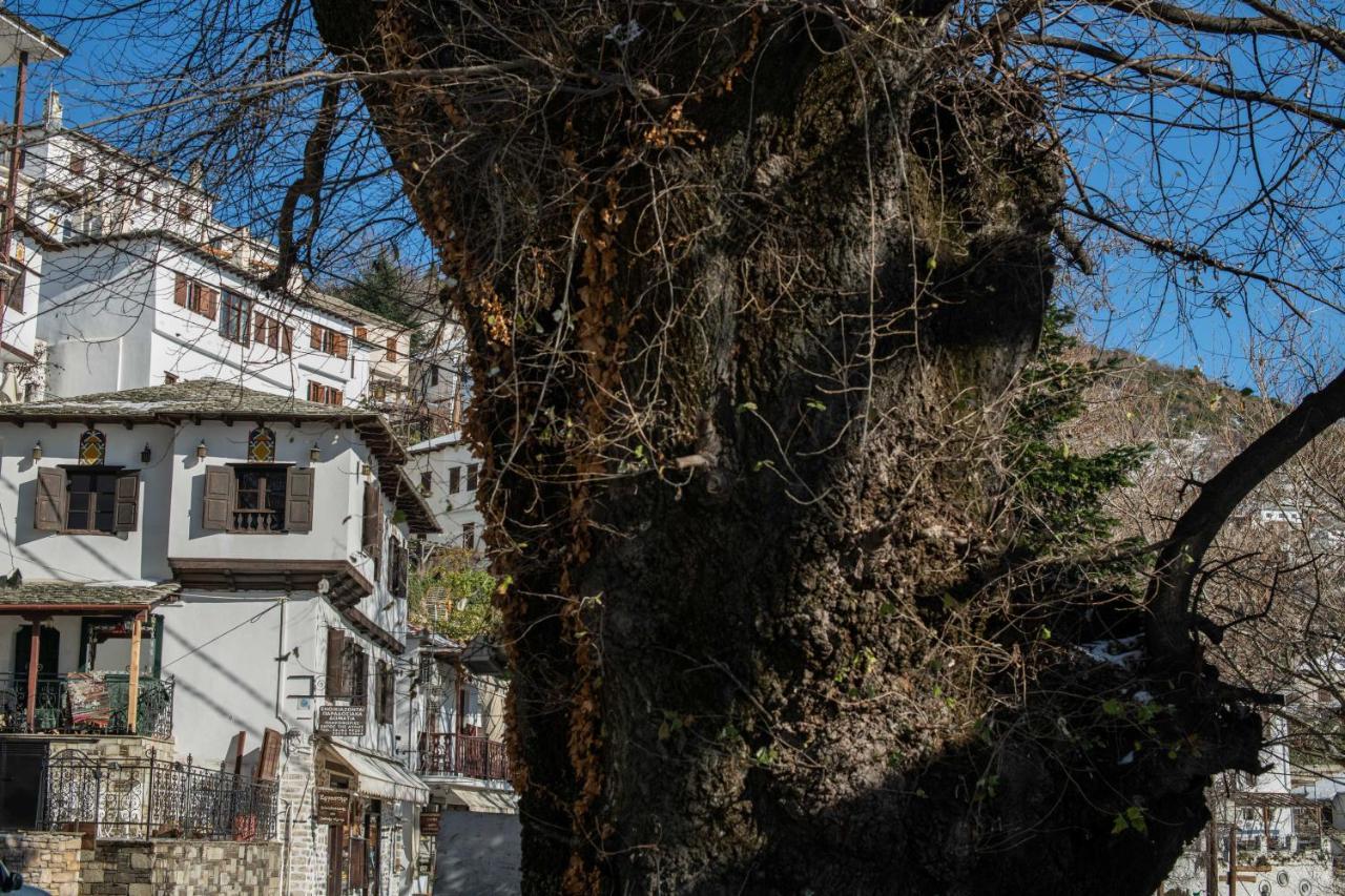 Philos Guesthouse Makrinítsa Exteriér fotografie